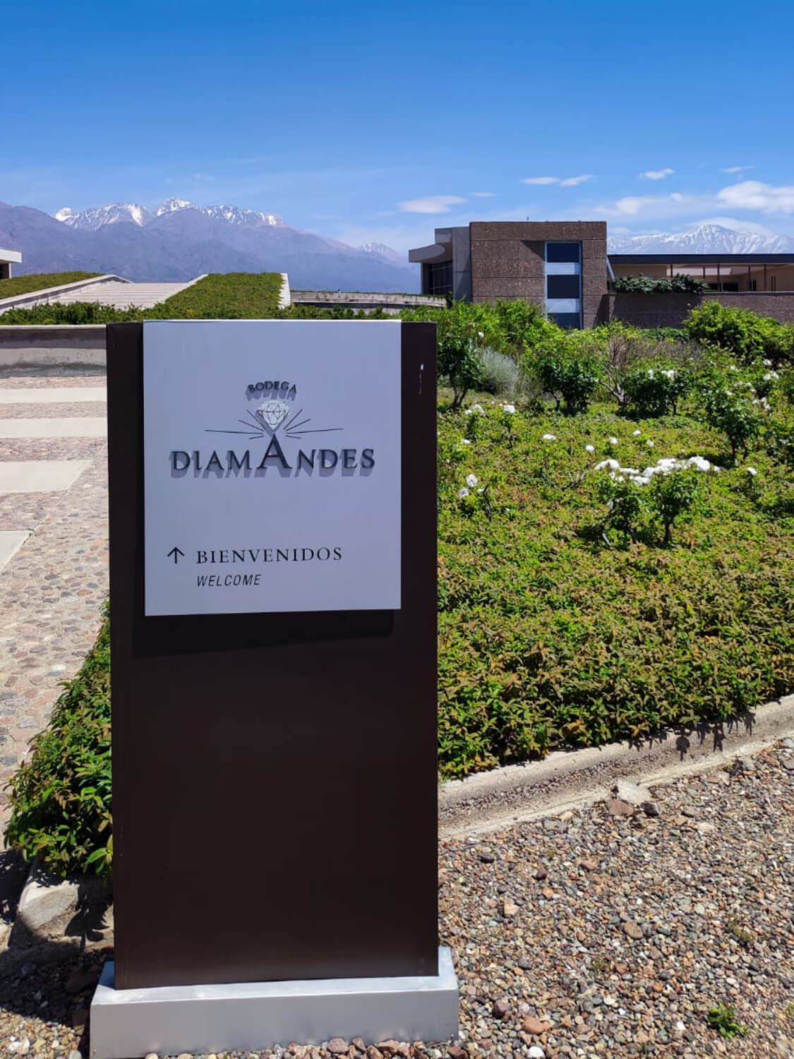 WhatsApp Image 2023-07-28 at 19.07.37 (1) (1) (1) (1)