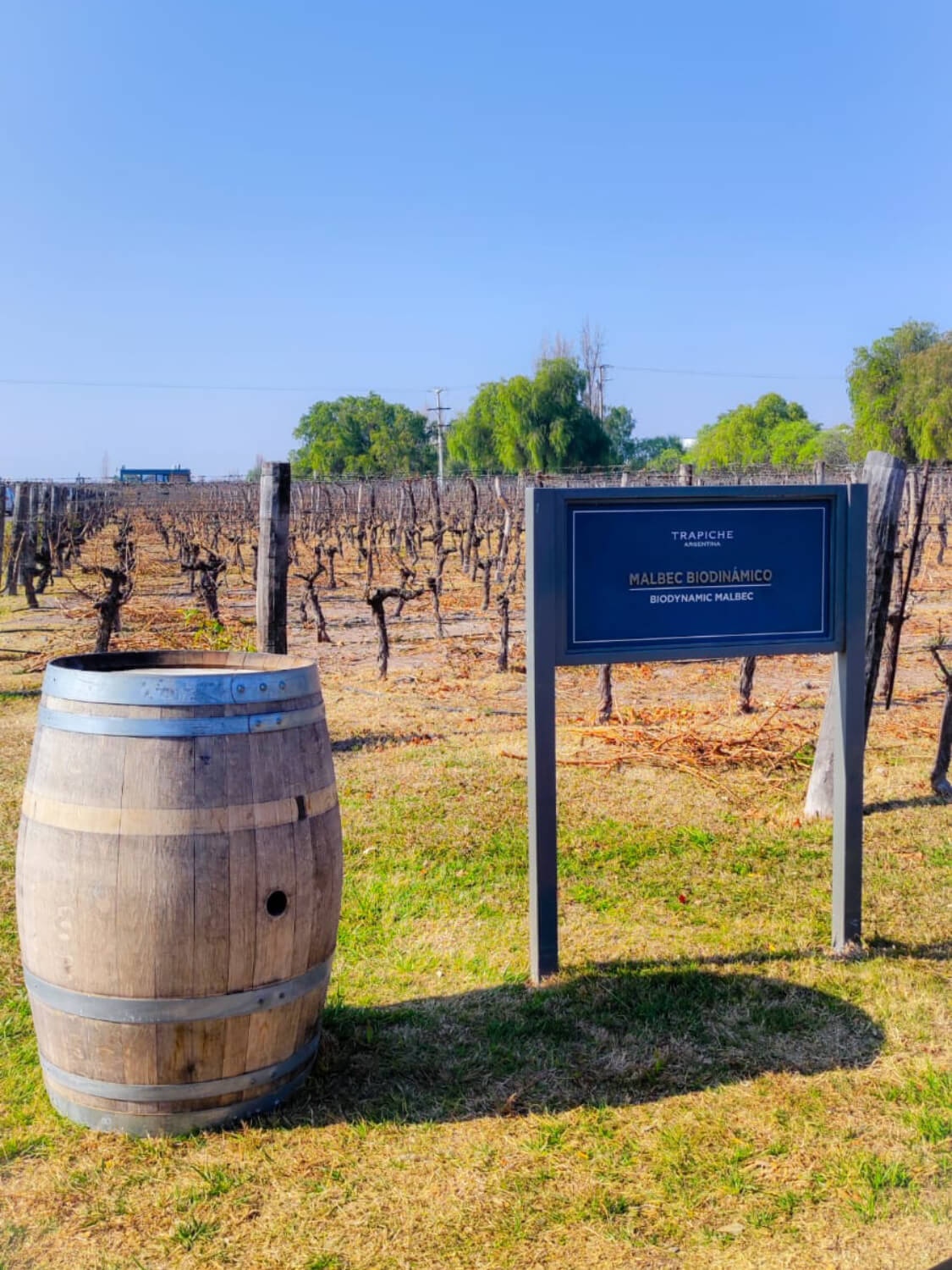 WhatsApp Image 2023-07-28 at 19.07.37 (1) (1) (1) (1)