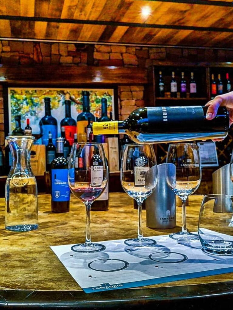 Degustación de vinos en la cava subterránea de Bodega Lamadrid, Agrelo - Mendoza Wine Transfers
