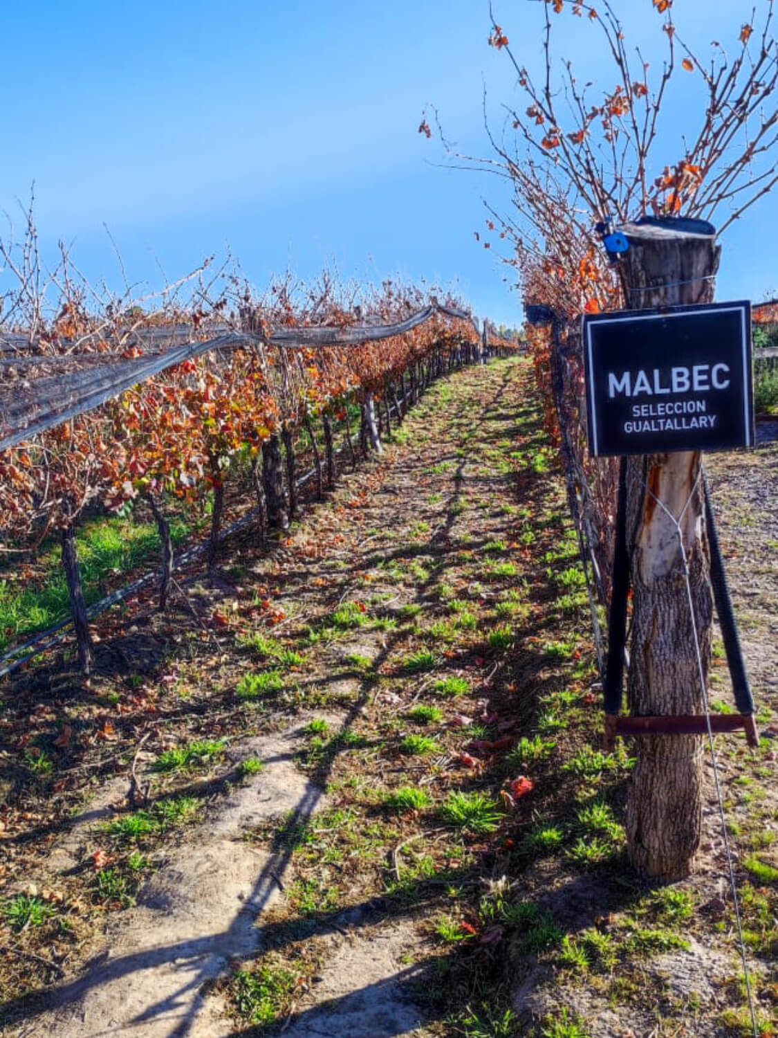 WhatsApp Image 2023-07-28 at 19.07.37 (1) (1) (1) (10)