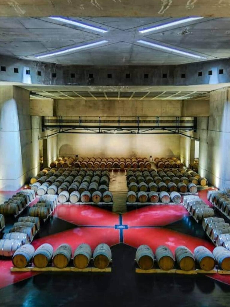 WhatsApp Image 2023-07-28 at 19.07.37 (1) (1) (1) (10)