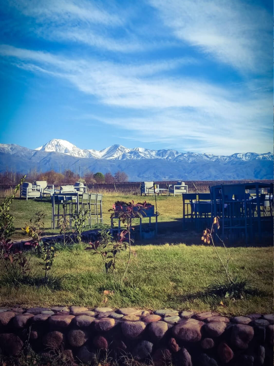 WhatsApp Image 2023-07-28 at 19.07.37 (1) (1) (1) (11)