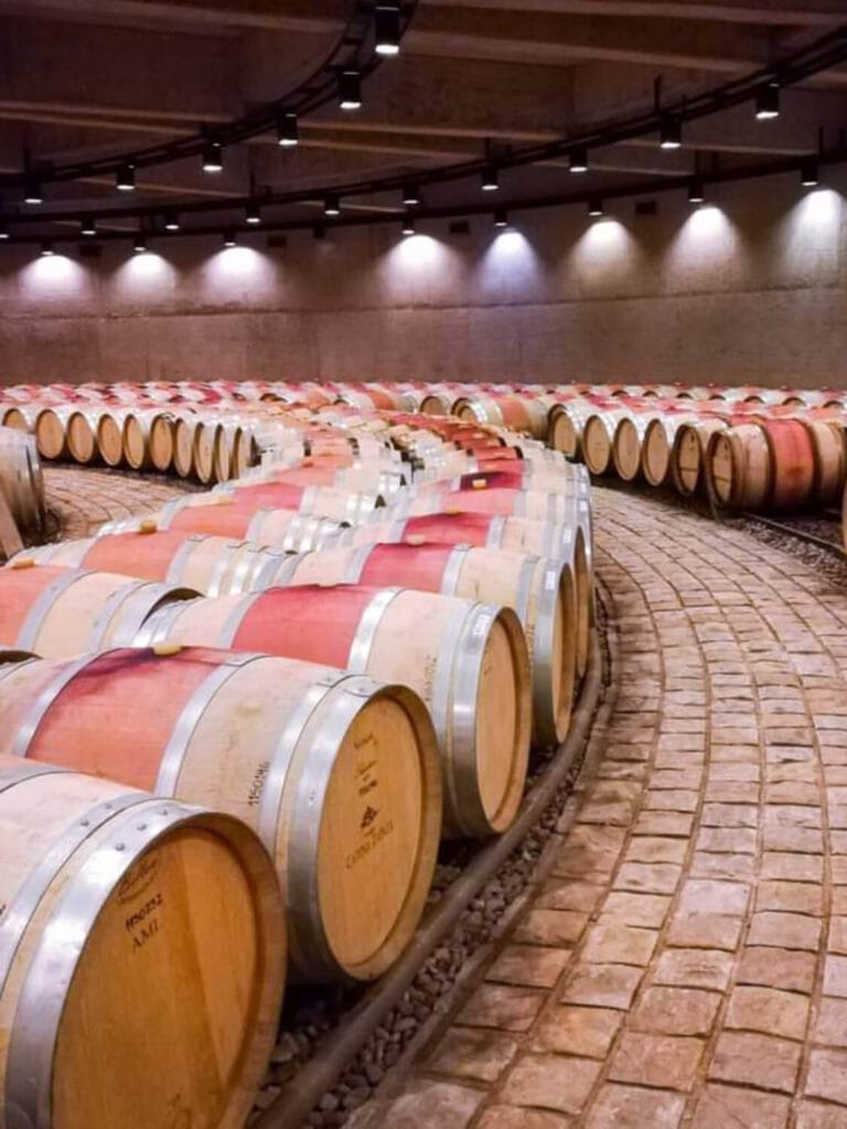 Visita guiada a la sala de barricas circular de la Bodega Catena Zapata en Mendoza - Mendoza Wine Transfers