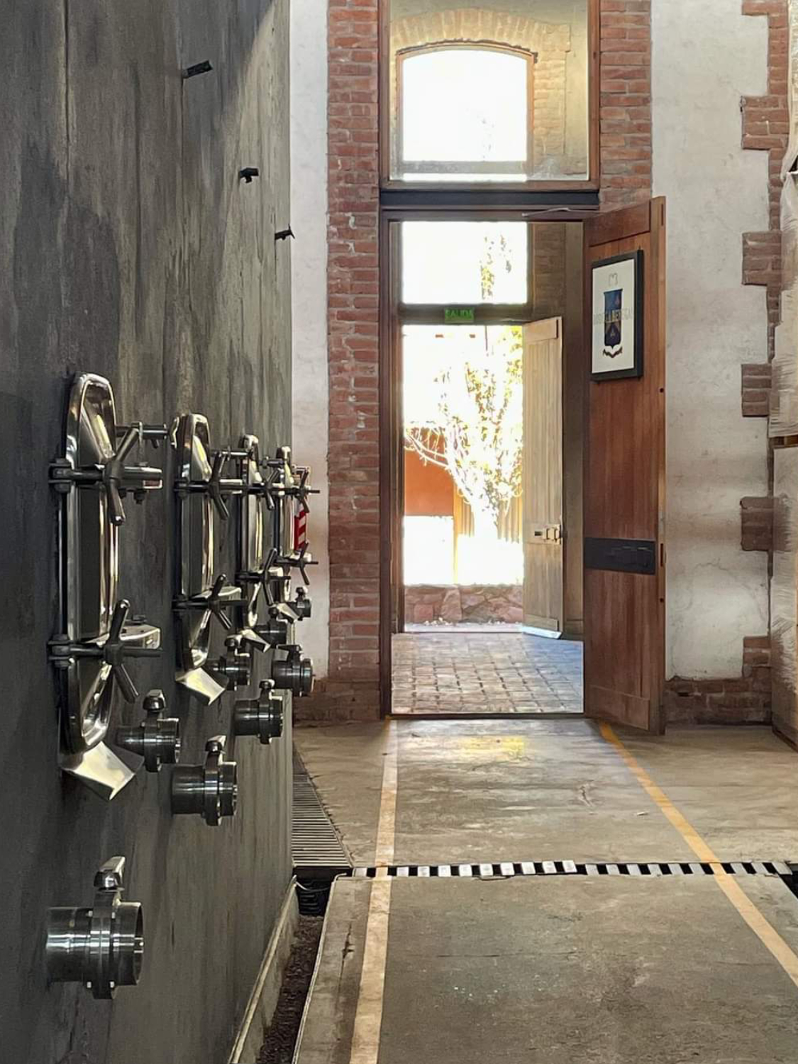 WhatsApp Image 2023-07-28 at 19.07.37 (1) (1) (1) (13)