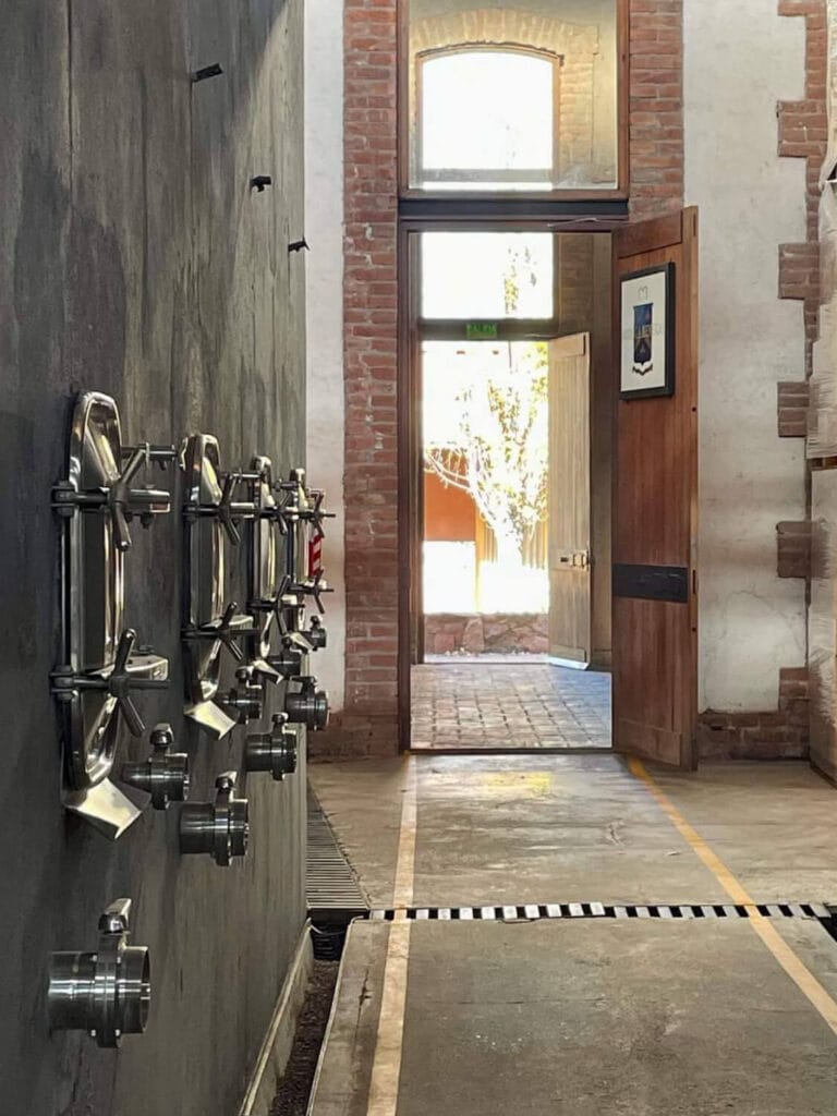 WhatsApp Image 2023-07-28 at 19.07.37 (1) (1) (1) (13)