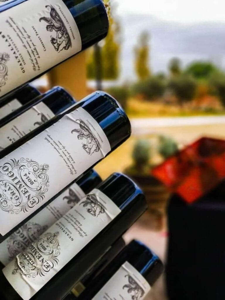 WhatsApp Image 2023-07-28 at 19.07.37 (1) (1) (1) (14)