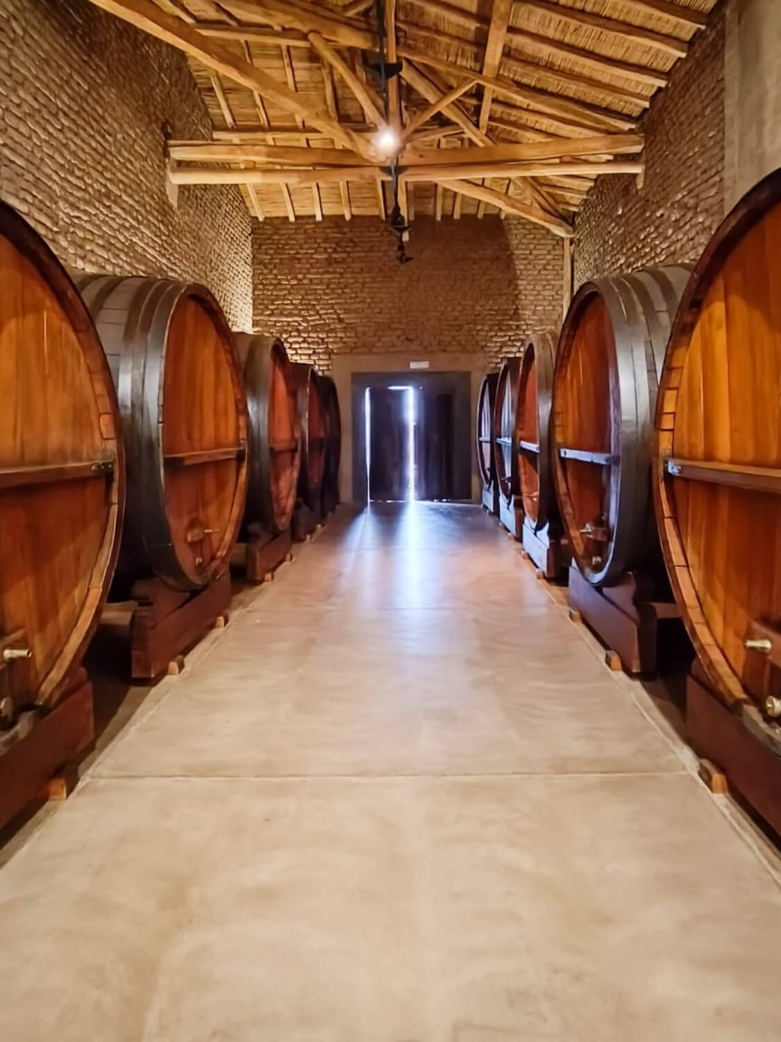 WhatsApp Image 2023-07-28 at 19.07.37 (1) (1) (1) (2)