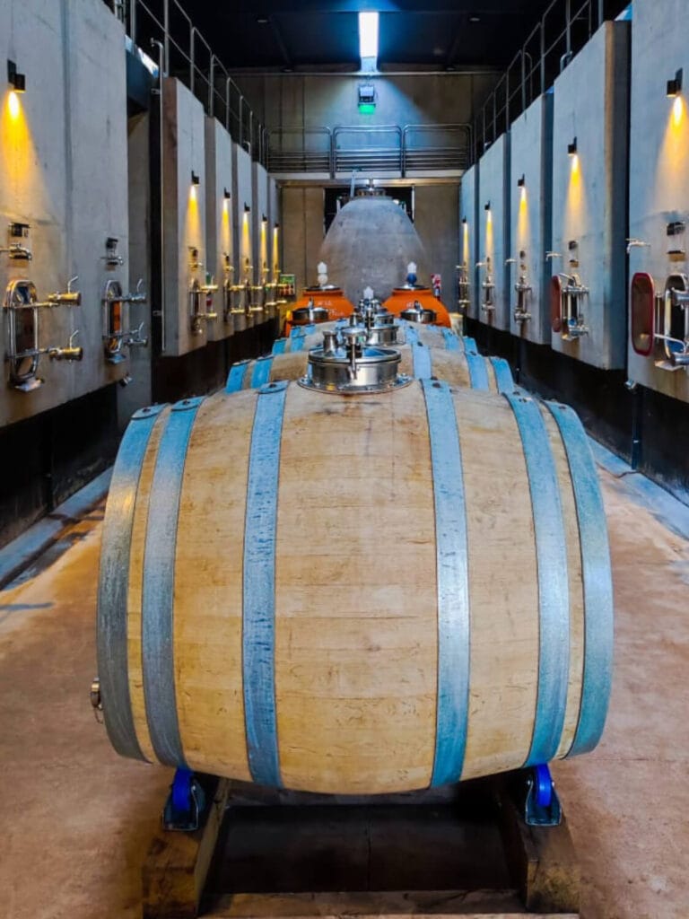 Sala de fermentación en Bodega Durigutti con huevos de concreto, ánforas y barricas - Mendoza Wine Transfers