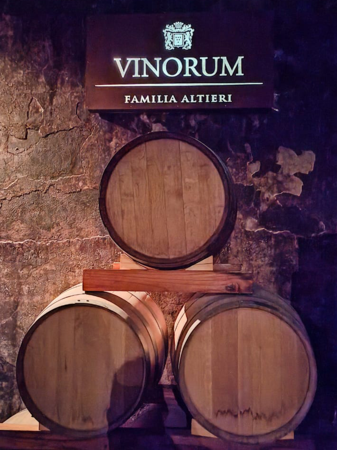 WhatsApp Image 2023-07-28 at 19.07.37 (1) (1) (1) (2)