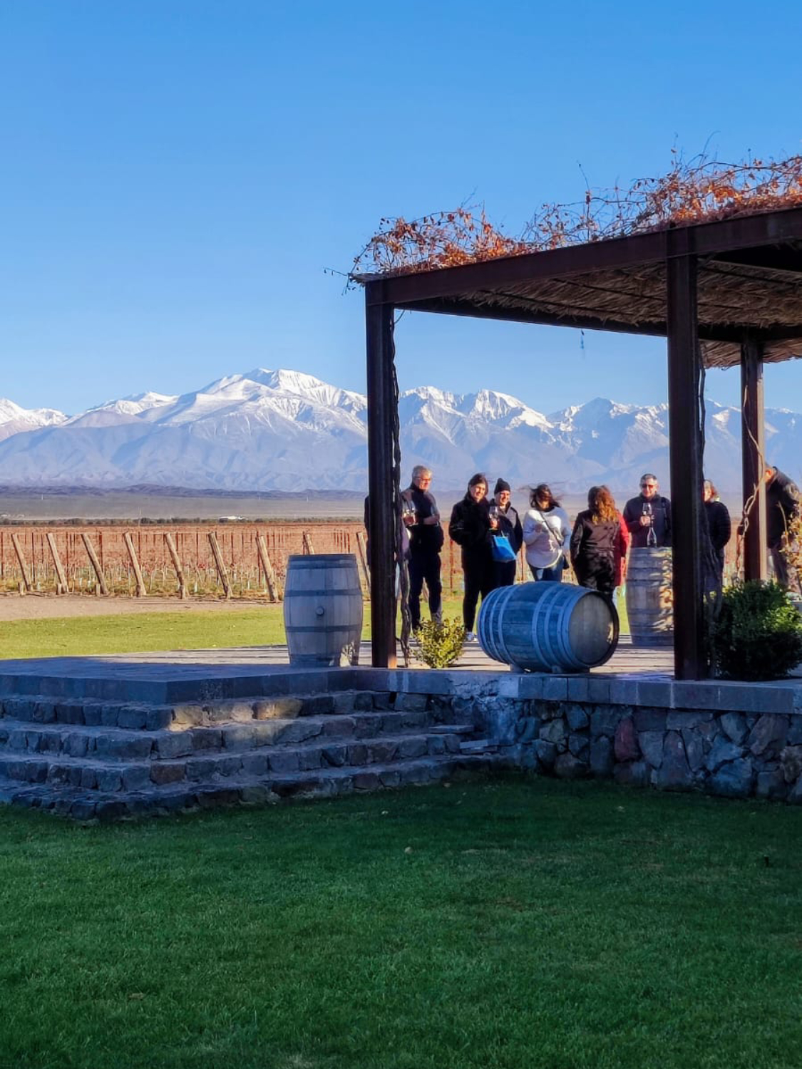 WhatsApp Image 2023-07-28 at 19.07.37 (1) (1) (1) (2)