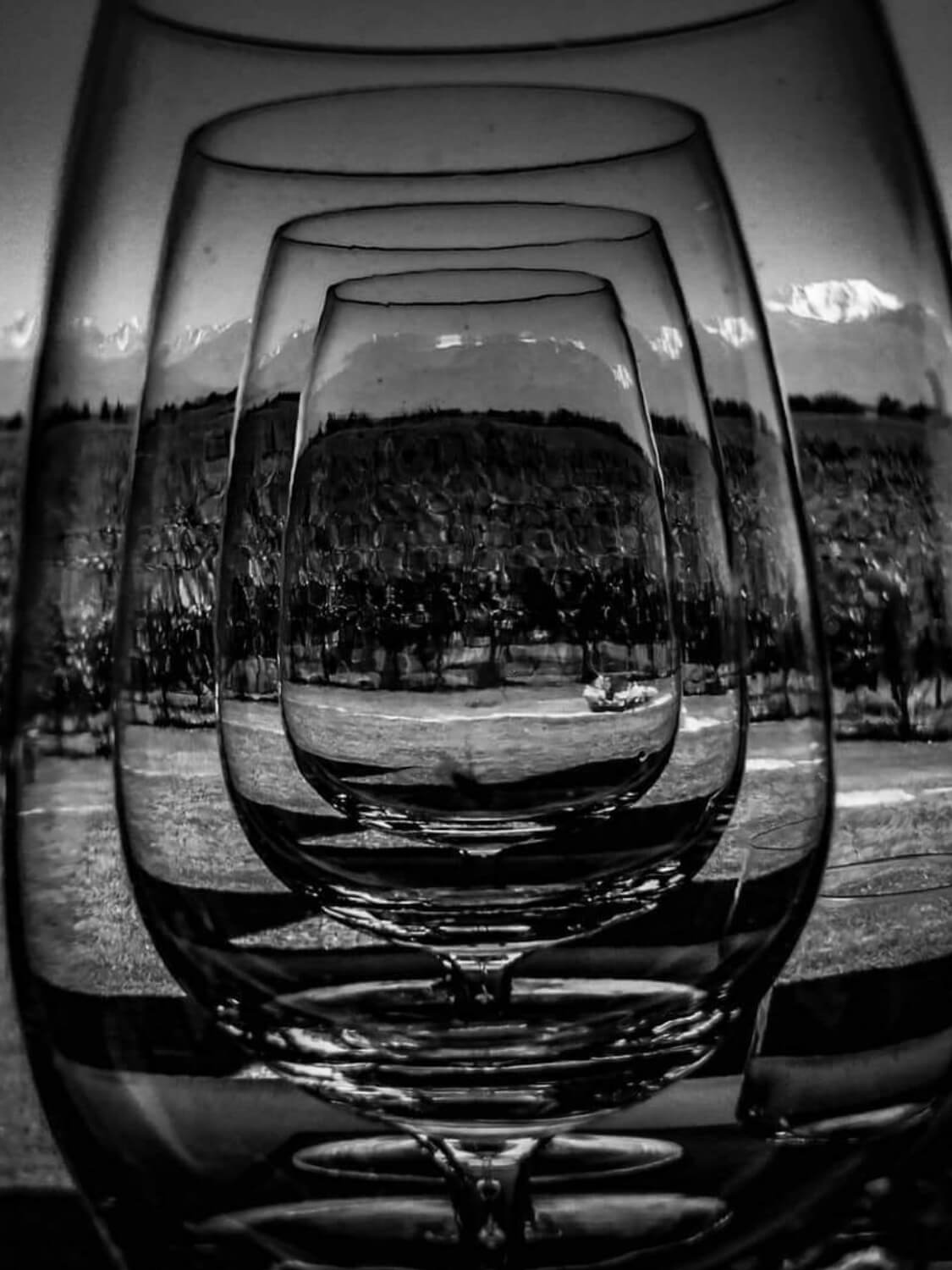 WhatsApp Image 2023-07-28 at 19.07.37 (1) (1) (1) (3)