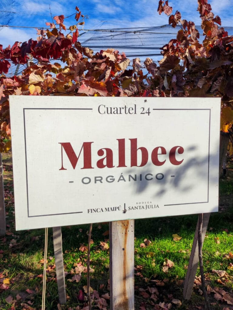 WhatsApp Image 2023-07-28 at 19.07.37 (1) (1) (1) (3)