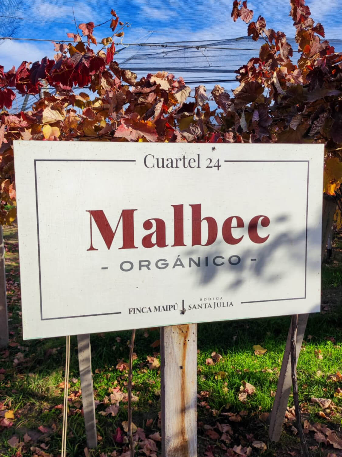 WhatsApp Image 2023-07-28 at 19.07.37 (1) (1) (1) (3)