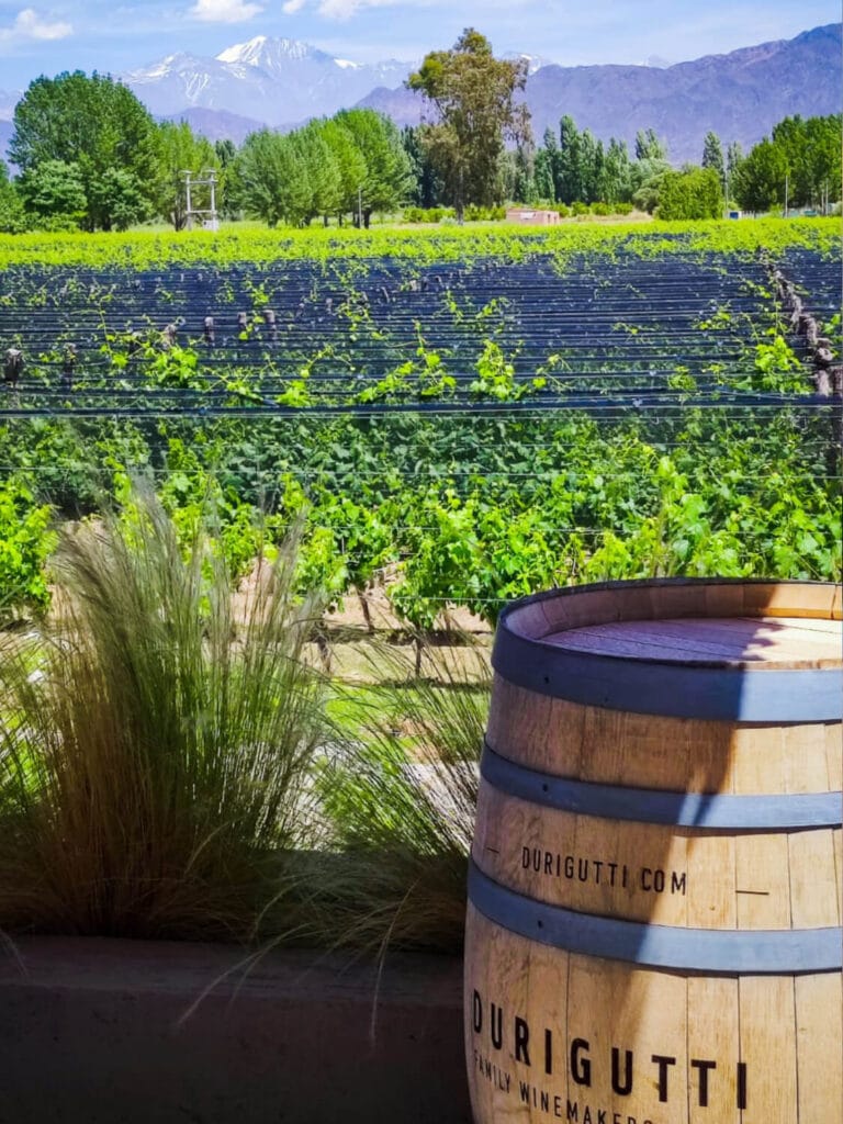Barrica de Bodega Durigutti con vista a la Cordillera de los Andes en Las Compuertas - Mendoza Wine Transfers