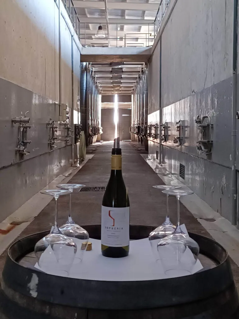 Piletas de concreto y degustación en Bodega Sophenia Gualtallary - Sophenia winery wine tasting - Degustação de vinhos em Mendoza mwt