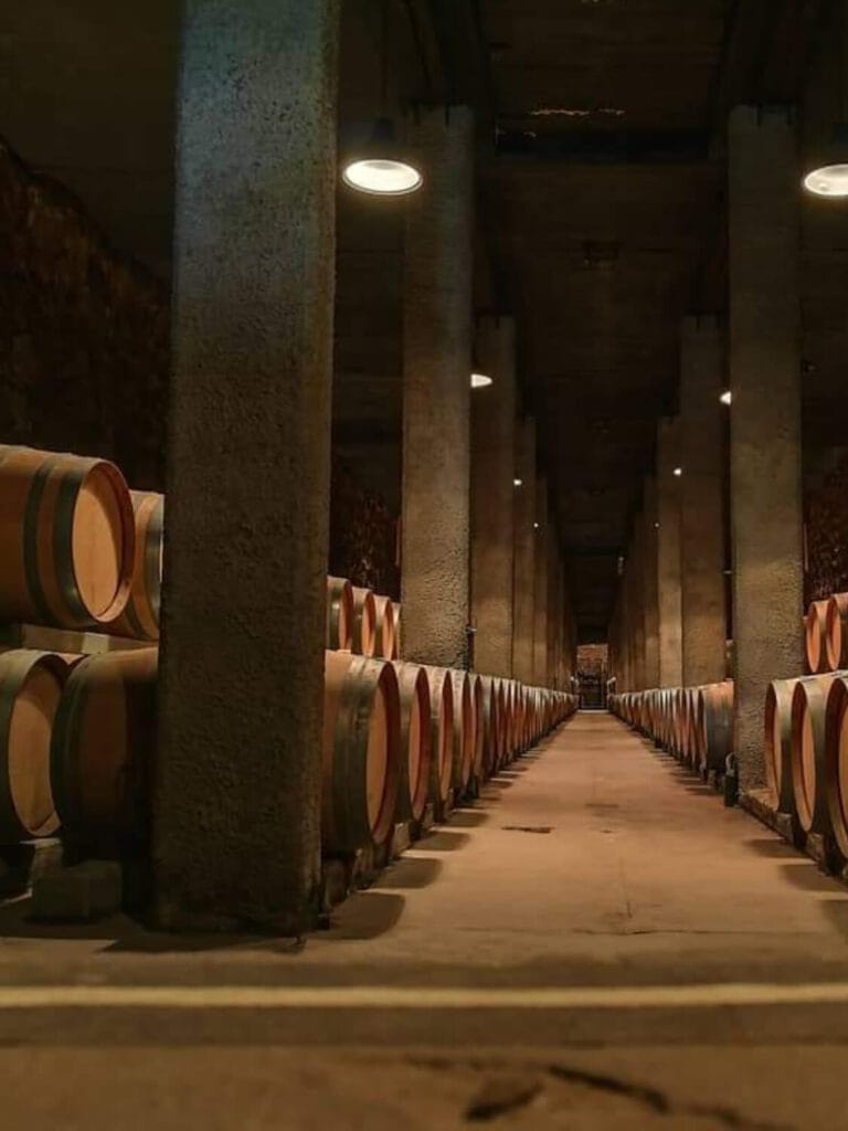 WhatsApp Image 2023-07-28 at 19.07.37 (1) (1) (1) (4)