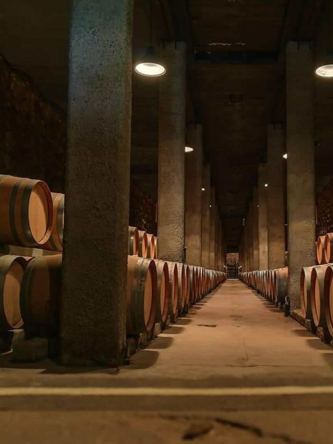 WhatsApp Image 2023-07-28 at 19.07.37 (1) (1) (1) (4)