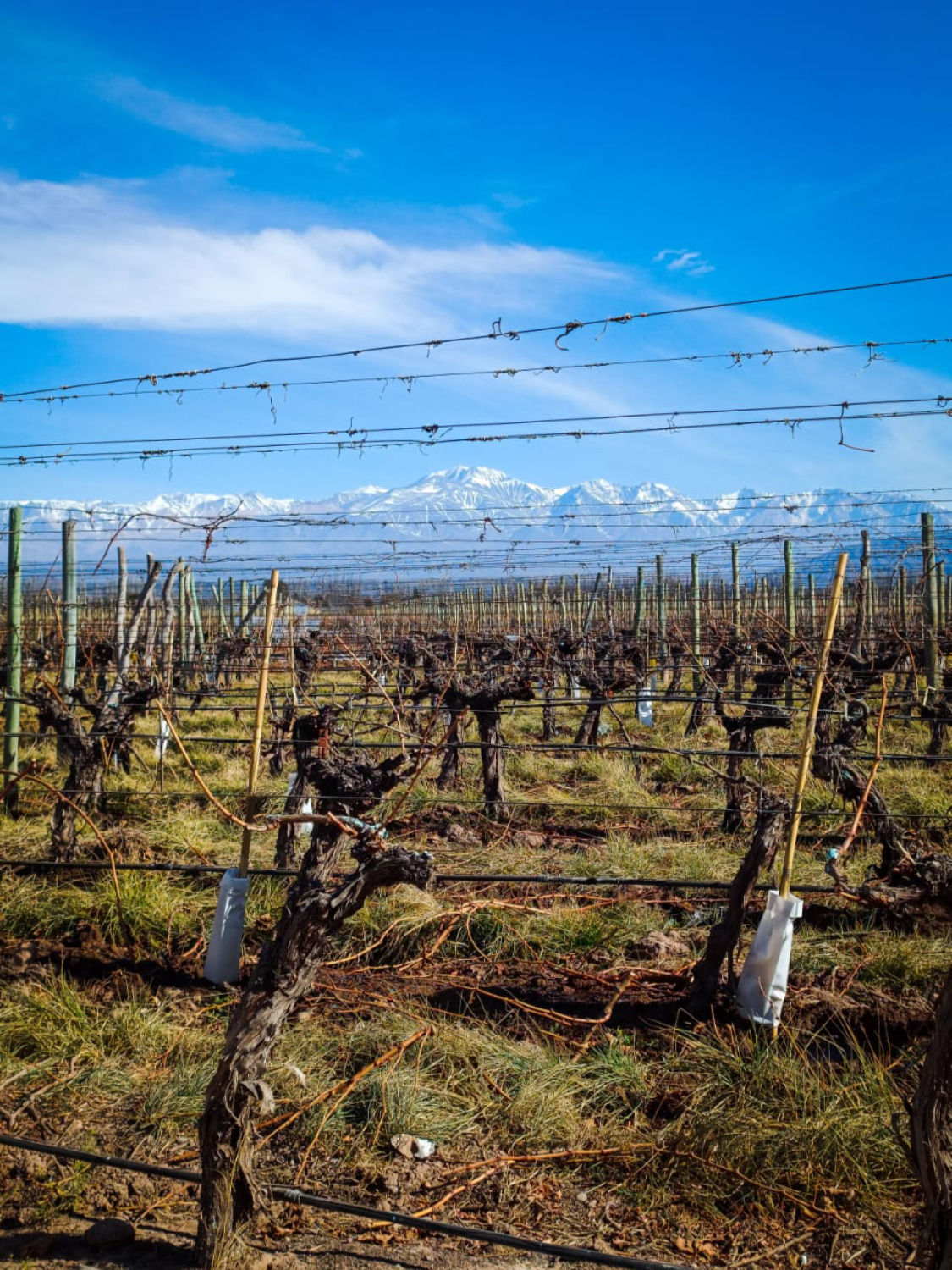 WhatsApp Image 2023-07-28 at 19.07.37 (1) (1) (1) (4)