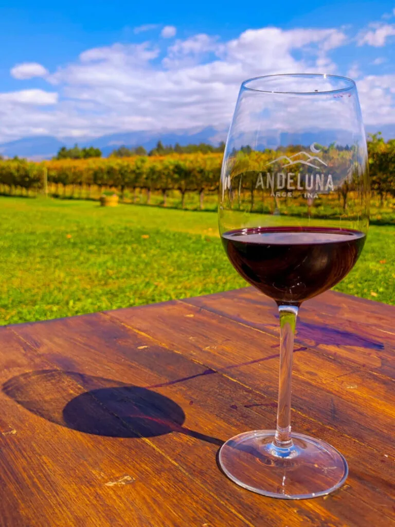 Copa de vino tinto en Bodega Andeluna Tupungato Valle de Uco - Wine tasting with vineyard views Mendoza - Degustação de vinhos no Valle de Uco mwt