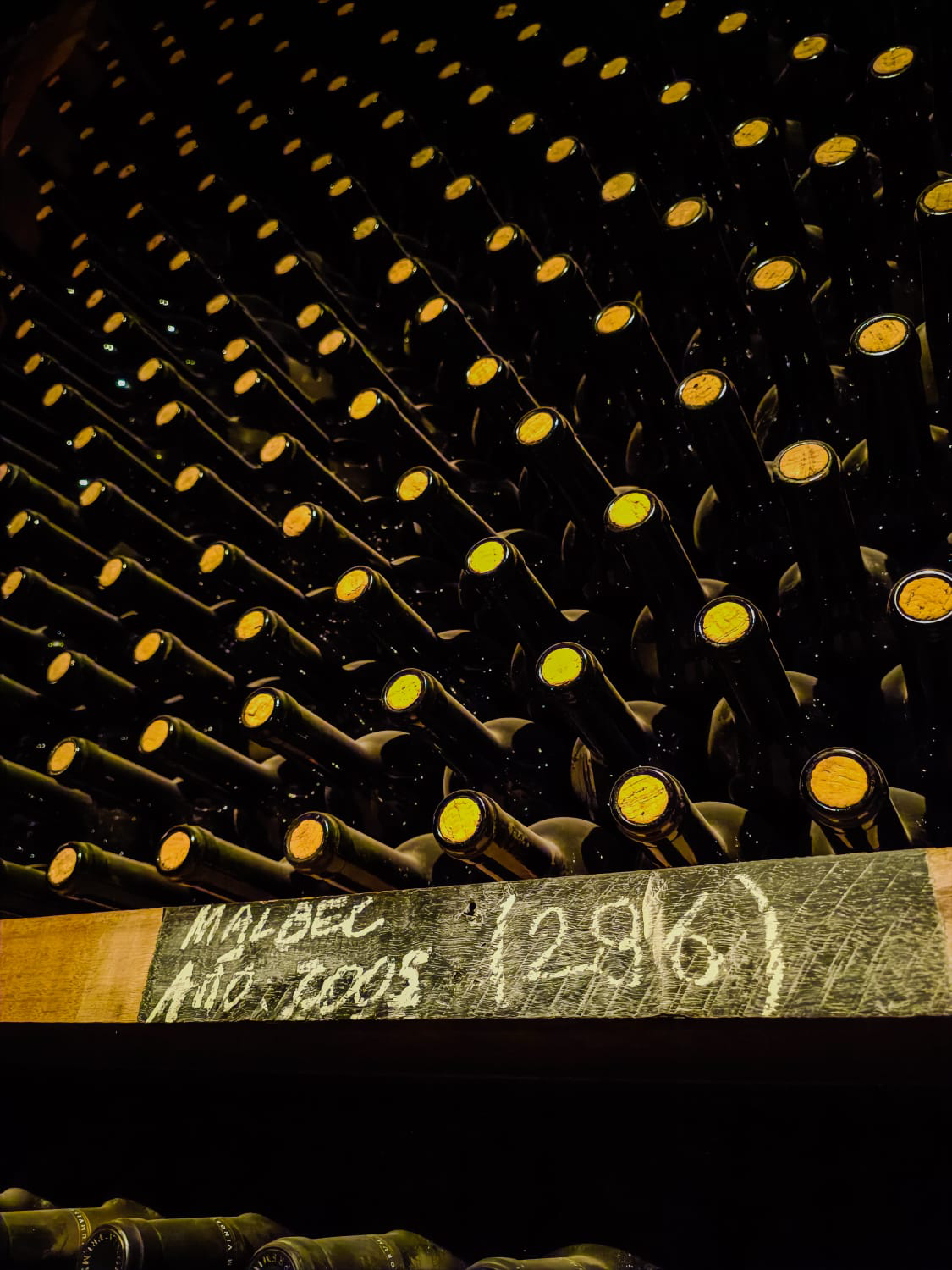 WhatsApp Image 2023-07-28 at 19.07.37 (1) (1) (1) (5)