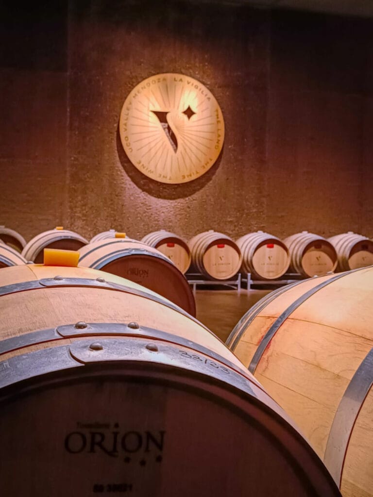 Sala de barricas Bodega La Vigilia Valle de Uco Mendoza - Wine barrel room aging - Sala de barricas mwt