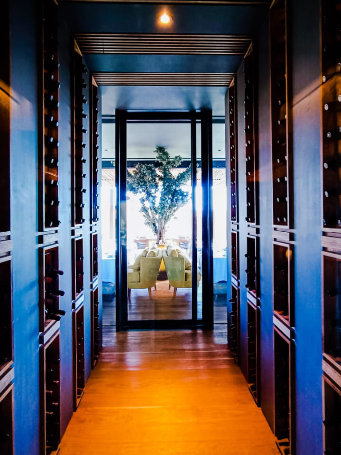 WhatsApp Image 2023-07-28 at 19.07.37 (1) (1) (1) (6)