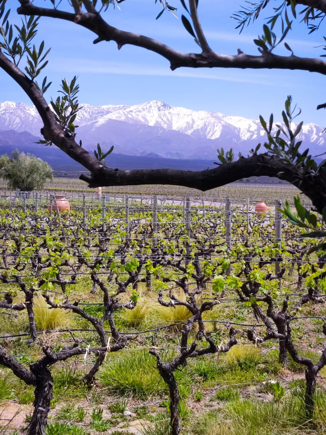 WhatsApp Image 2023-07-28 at 19.07.37 (1) (1) (1) (6)