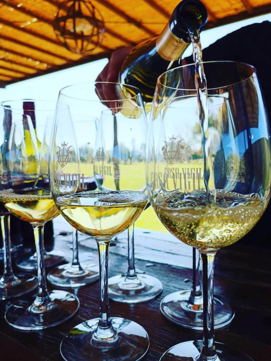 WhatsApp Image 2023-07-28 at 19.07.37 (1) (1) (1) (6)