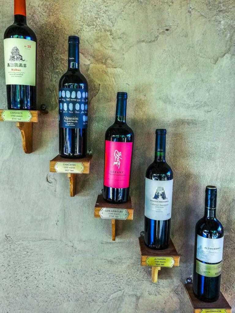 WhatsApp Image 2023-07-28 at 19.07.37 (1) (1) (1) (7)