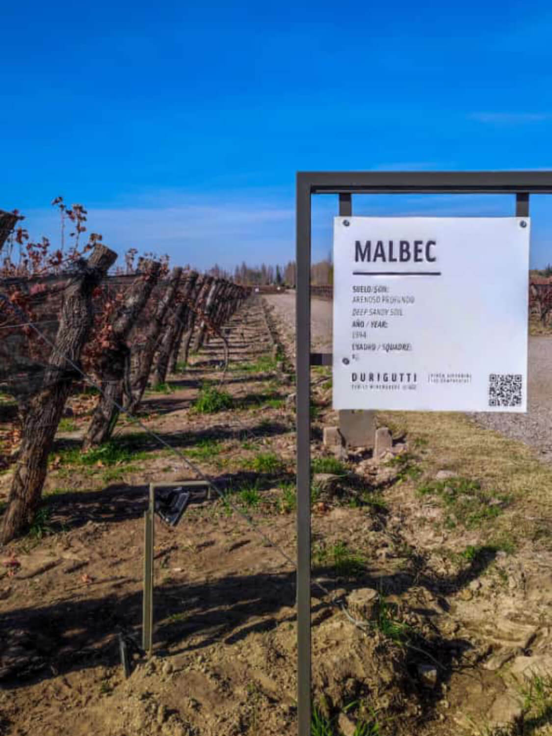 WhatsApp Image 2023-07-28 at 19.07.37 (1) (1) (1) (7)