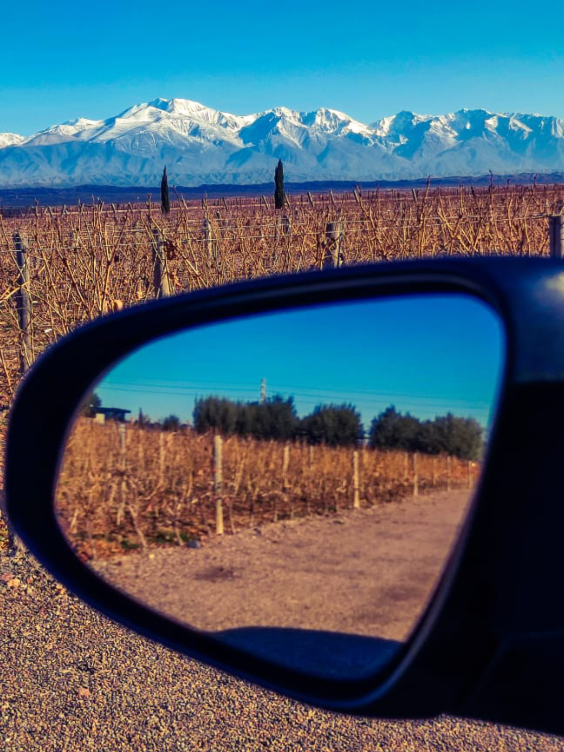 WhatsApp Image 2023-07-28 at 19.07.37 (1) (1) (1) (7)