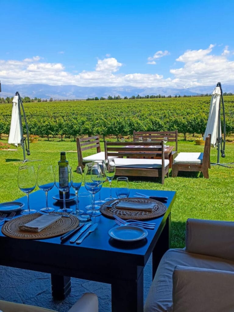 WhatsApp Image 2023-07-28 at 19.07.37 (1) (1) (1) (7)