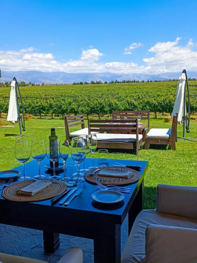 Almuerzo en Bodega Andeluna Mendoza con vista a la cordillera - Lunch at Andeluna Winery Valle de Uco - Almoço com vista para os Andes mwt
