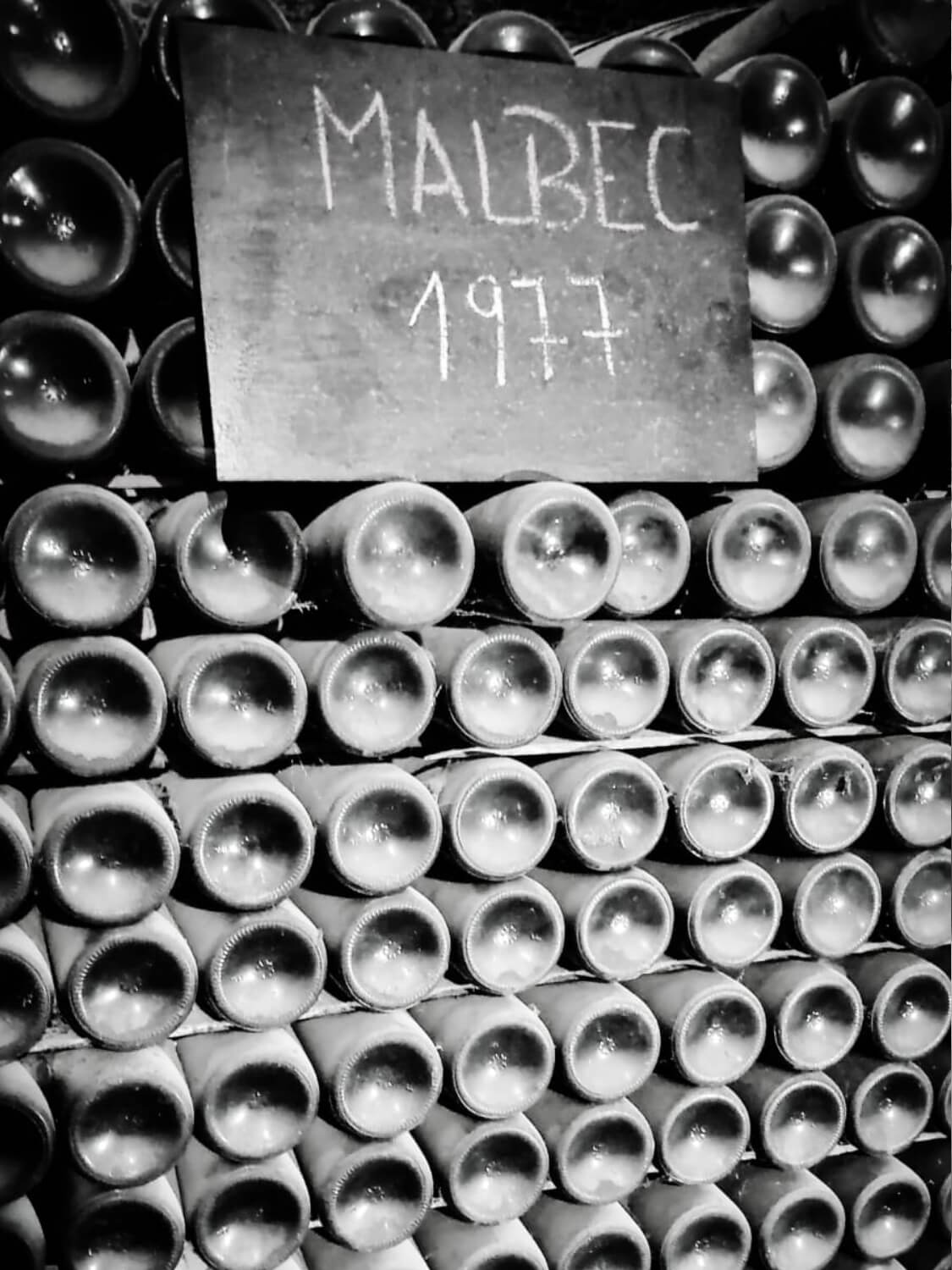 WhatsApp Image 2023-07-28 at 19.07.37 (1) (11) (1)