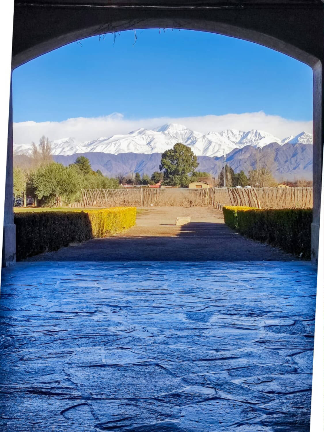 WhatsApp Image 2023-07-28 at 19.07.37 (1) (3) (1)