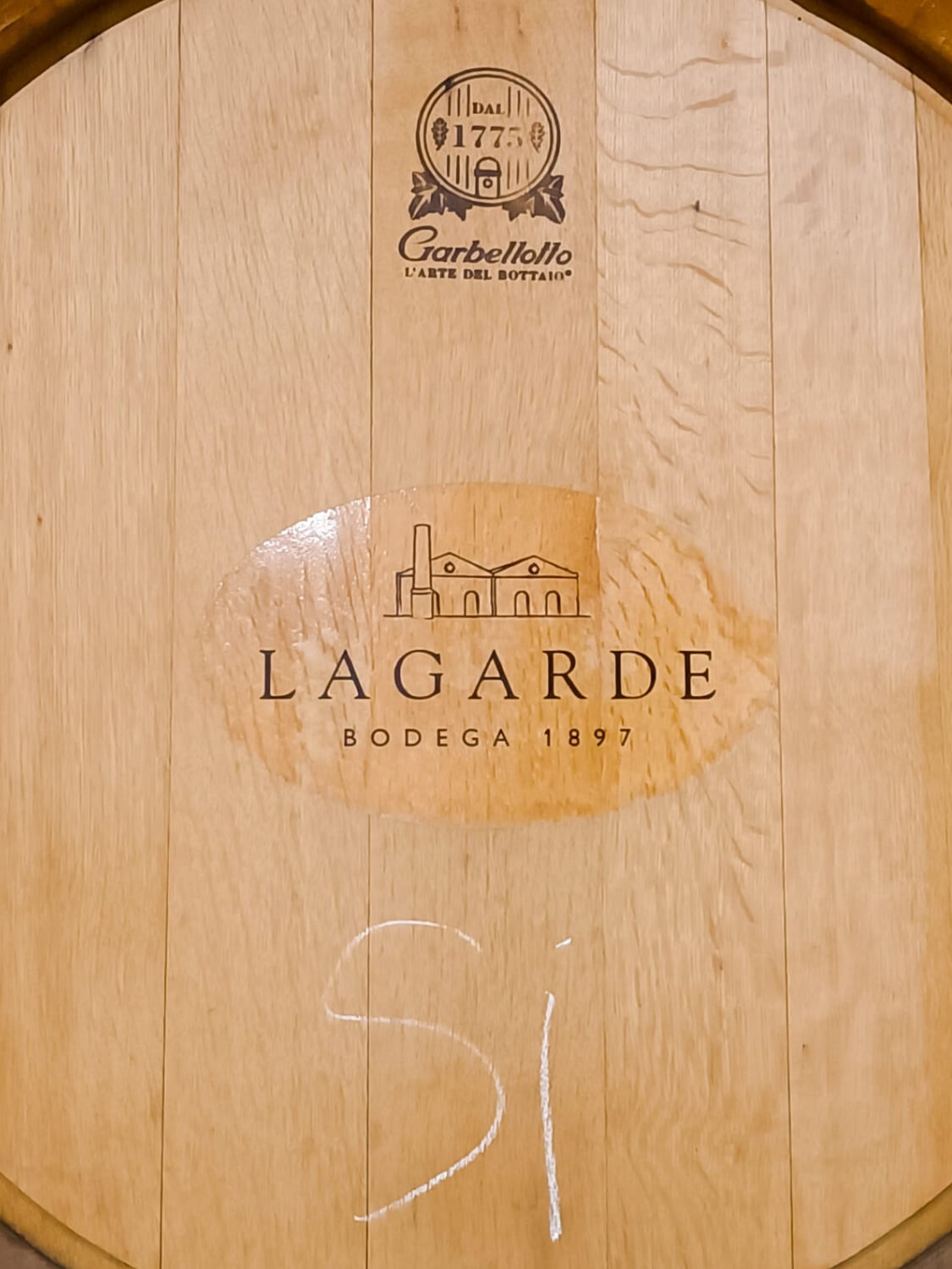 WhatsApp Image 2023-07-28 at 19.07.37 (1) (4) (1)