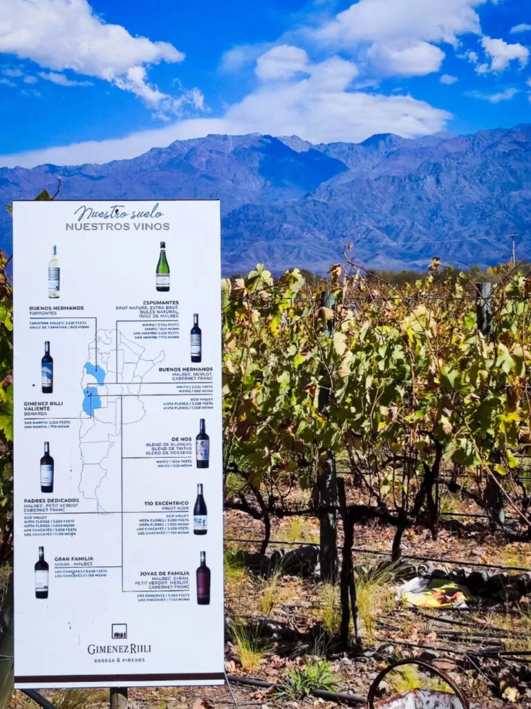 Placa de varietales Malbec Cabernet en viñedo Bodega Gimenez Riili Valle de Uco - Wine varietals vineyard Mendoza - Variedades de uvas mwt