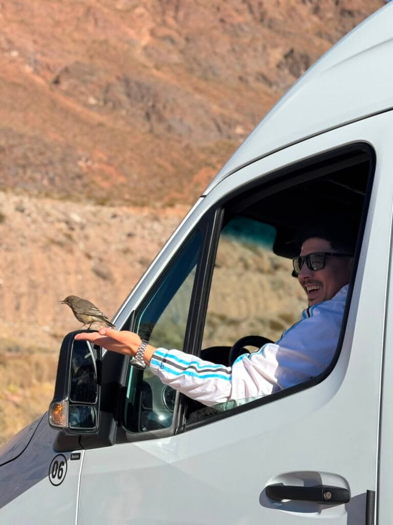 Chofer de Mendoza Wine Transfers con un pájaro en el espejo de la camioneta durante la excursión de Alta Montaña